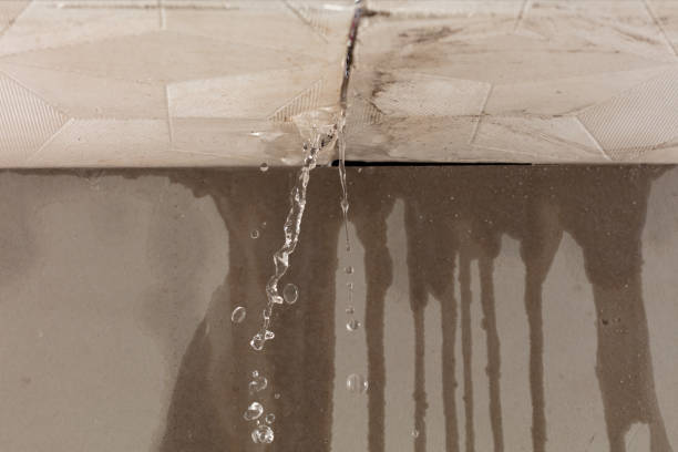 Professional Water Damage Repair technician working in Thompson, MO